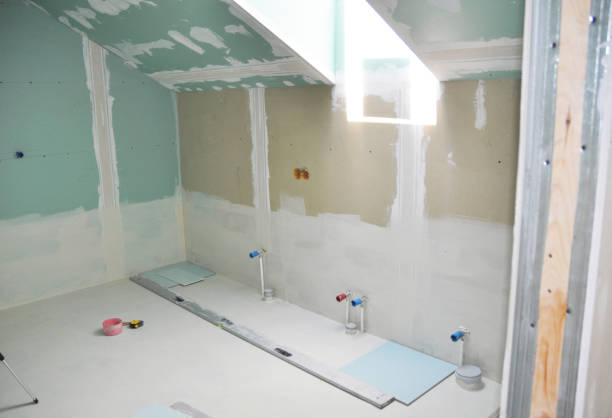 Best Mold Damage Restoration  in World Golf Village, FL