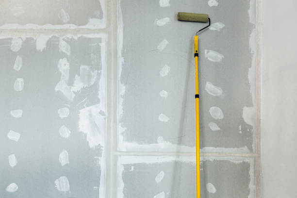 Best Dehumidification Services  in World Golf Village, FL