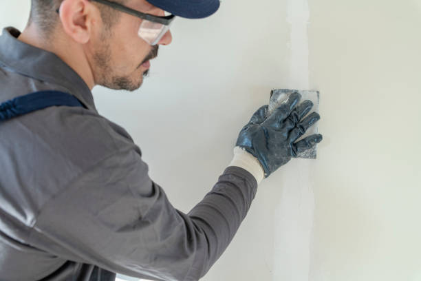 Best Mold Documentation for Insurance Claims  in World Golf Village, FL