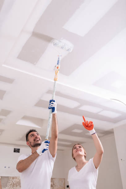 Professional Mold Removal in World Golf Village, FL