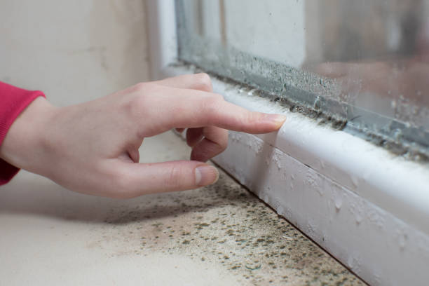 Best Indoor Air Quality Assessment  in World Golf Village, FL